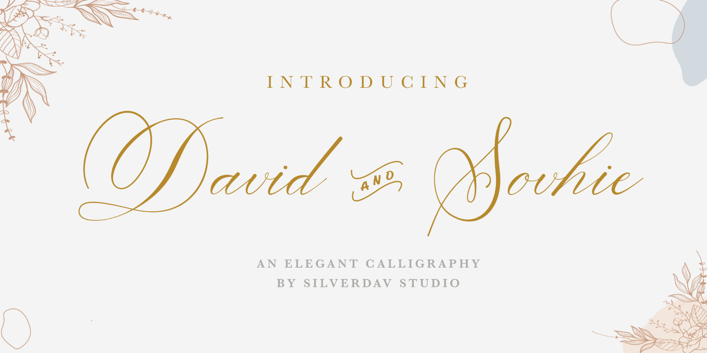 David And Sovhie Font